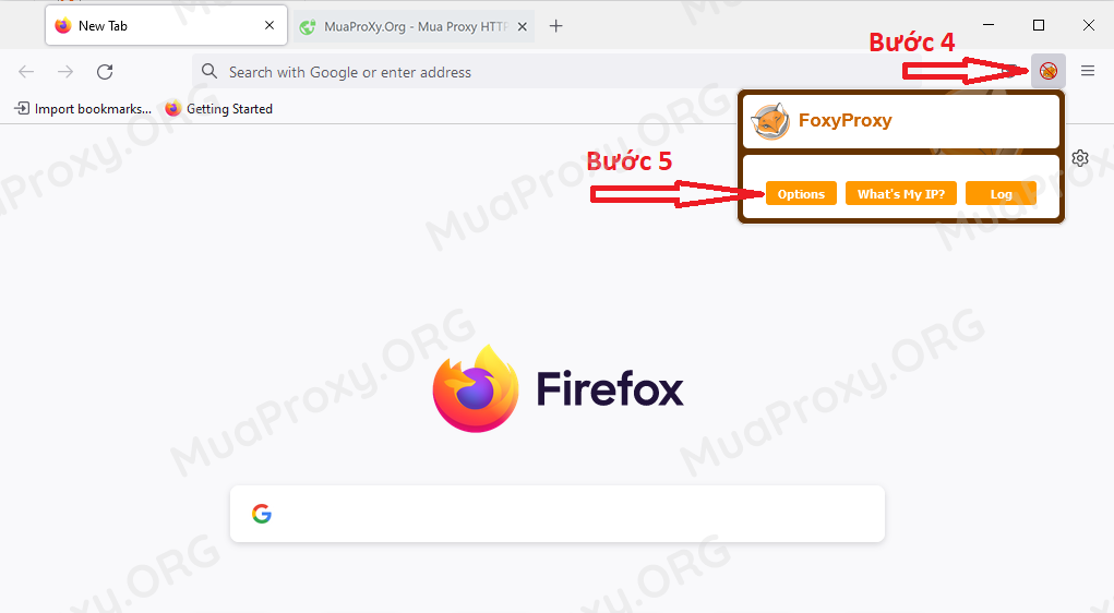 Hướng dẫn Fake Proxy trên trình duyệt Firefox
