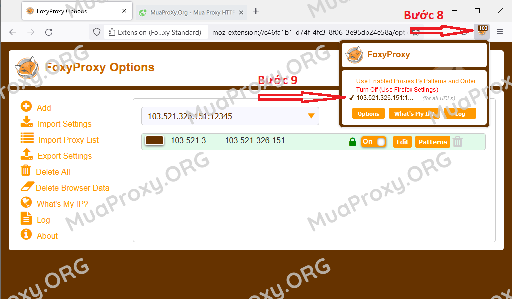 Hướng dẫn Fake Proxy trên trình duyệt Firefox
